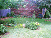 garden2.GIF (95274 bytes)