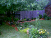garden5.GIF (84150 bytes)