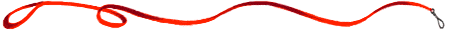 redleash.gif (3666 bytes)